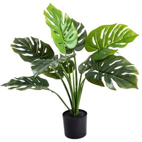 Dirbtinis augalas, monstera Homla Tropical Zone, žalia, 66 cm