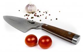 Virtuvinis peilis Katanaimi DK1001E, 300 mm, plienas/medis