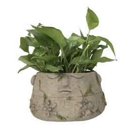 Dekoratyvinis vazonas "Veidas" Garden Center NFQ210021Z, 31 cm x 31 cm x 15.5 cm, pilka