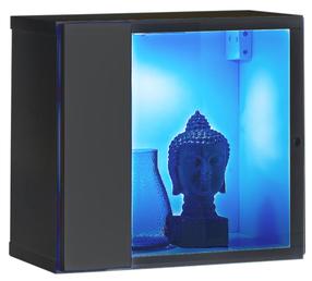 Vitrina ASM Switch WW5, grafito, 30 cm x 25 cm x 30 cm