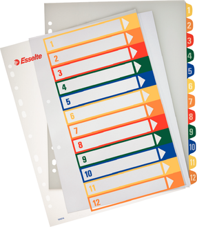 Skirtukas Esselte Project, A4, 12 vnt., dokumentams Įvairių spalvų
