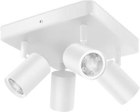 Išmanusis šviestuvas nukreipiamasis WiZ Imageo 4 Square, GU10, 2200 - 6500 °K, 4 x 5 W