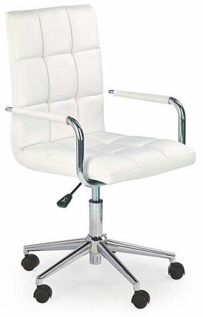 Vaikiška darbo kėdė Gonzo 2, 53 x 46 x 98 - 110 cm, balta