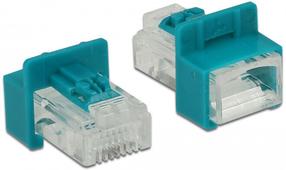 Priedas Delock RJ-45, RJ-45, balta