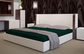 Paklodė PRZF-46, tamsiai žalia, 90 x 200 cm, su guma