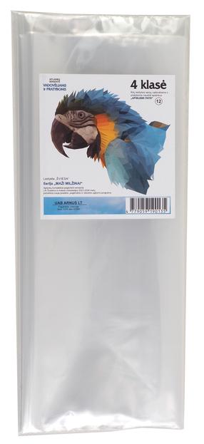 Vadovėlių ir pratybų sąsiuvinių aplankalų rinkinys, 16 vnt., 4 kl. Skaidri