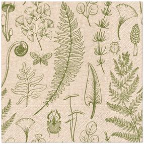 Popierinės servetėlės PAW, 33 cm x 33 cm, ruda/žalia, 20 vnt.