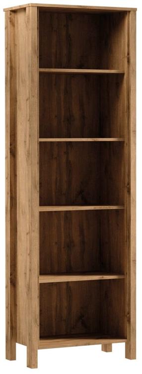 Pastatoma lentyna Gala Meble Indygo R1, ąžuolo/žalia, 66 cm x 37 cm x 199.5 cm