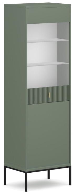 Spintelė - vitrina Maggiore, žalia, 39 cm x 53.9 cm x 175 cm