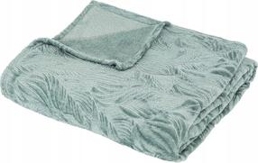 Pledas Atmosphera Ryon, žalias, 180 cm x 230 cm