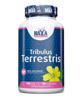 Maisto papildas Haya Labs Tribulus Terrestris, 100 vnt.