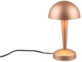 Darba galda gaismeklis RL Canaria, LED, 4.9W, brūna krās./brūna krās.