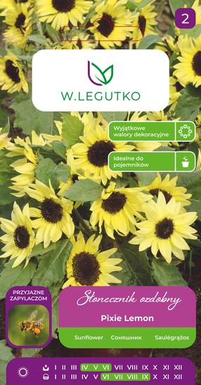 Sėklos saulėgrąža PIXIE LEMON, 2 g