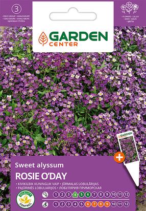 Seemned Garden Center kivikilbik Rosie O'Day, 0.5 g