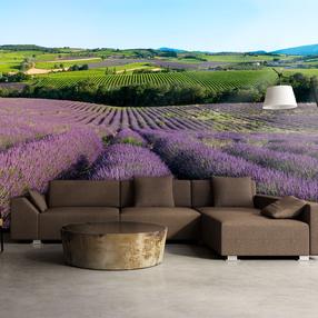 Fototapetas Artgeist Lavender Fields XLFTNT0948SAM, 193 cm x 245 cm