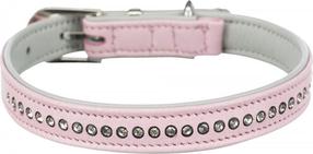 Kaelarihm koertele Trixie Active Comfort, roosa v., 170 - 210 mm x 12 mm, XXS/XS
