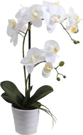 Dirbtinė gėlė vazone, orchidėja Home4you In Garden Orchid, balta sp./žalia sp., 51 cm