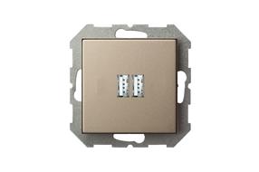 USB įkroviklis Liregus Epsilon, šampano sp.