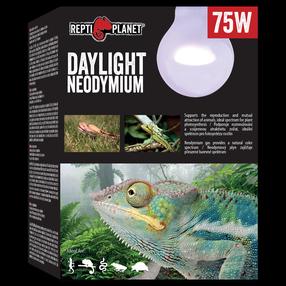 Terariumų lemputė Repti Planet Daylight Neodymium, 75 W