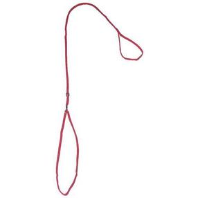 Suņu pavada Record Nylon, sarkana krās.