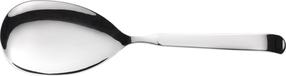 Serviravimo šaukštas Pintinox Astra, nerūdijantysis plienas, sidabro sp., 28 cm