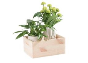 Коробка Domoletti 508400, сосна, 33 см x 25 см