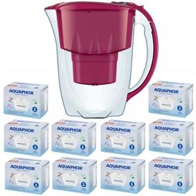 Посуда для фильтрации воды, с картриджами Aquaphor Amethyst + 10 Maxfor filtrų, 2.8 л, бордо цв./прозрачный цв.
