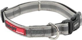 Kaelarihm koertele Zolux Moov, hall v., 360 - 470 mm x 20 mm, 36-47