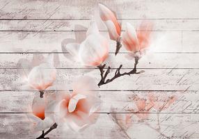 Fototapetas Artgeist Subtlety Of The Magnolia XLFT16, 175 cm x 250 cm