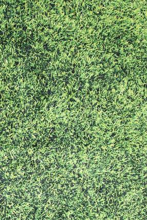 Kiliminis takas Conceptum Hypnose Grass, įvairių spalvų, 300 cm x 100 cm