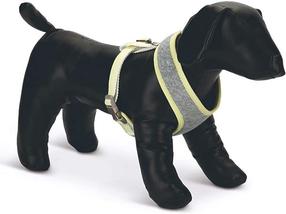 Petnešos šunims Beeztees Harness, pilka sp., 320 - 460 mm x 140 mm, 14 x 32 x 46 cm