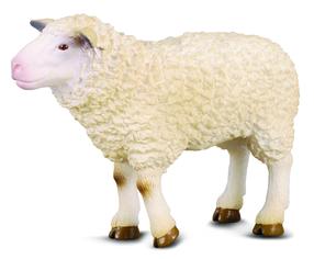 Žaislinė figūrėlė Collecta Sheep COLL0167, balta sp.