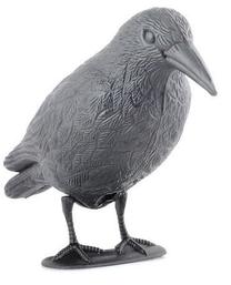 Paukščių baidyklė Raven, 34 cm, juoda sp., 3 vnt.