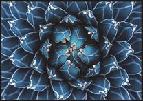 Paveikslas DecoKing Blossom, 50 cm x 40 cm