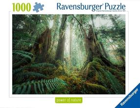 Пазл Ravensburger Nature Edition In The Forest, 50 см x 70 см, 1000 шт., многоцветный