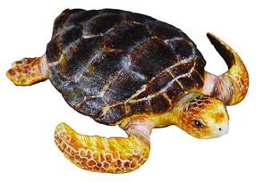 Фигурка-игрушка, черепаха Collecta Oceans & Ice Loggerhead 88094, 7 см, коричневый цв.