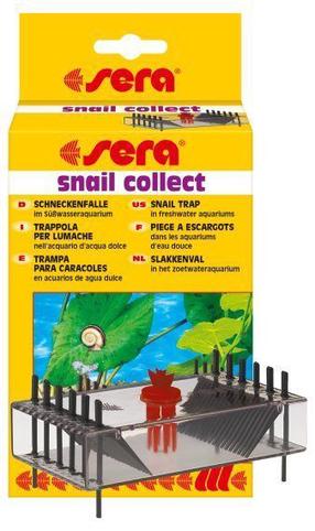 Gliemežu slazds Sera Snail collect