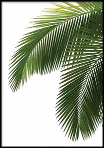 Paveikslas DecoKing Bahamas, 70 cm x 100 cm