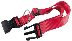 Kaklasiksna suņiem Ferplast Collar Club C 25/70, sarkana krās., 700 mm