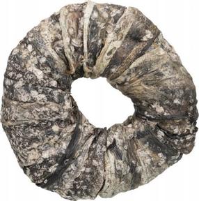 Koeramaius Trixie Denta Fun Chewing Ring, kalaliha, 5.5 kg, 50 tk