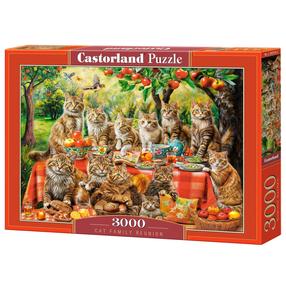 Dėlionė Castorland Cat Family Reunion 300730, 68 cm x 92 cm, 3000 vnt., įvairių spalvų