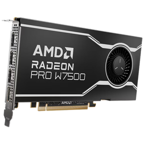 Videokarte AMD AMD Radeon™ PRO W7500, 8 GB, GDDR6