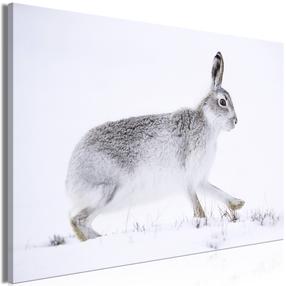 Reprodukcija Artgeist Hare KR42, 120 cm x 80 cm