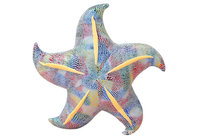 Pliušinis žaislas jūrų žvaigždė Pillow, mėlyna sp., 20 cm
