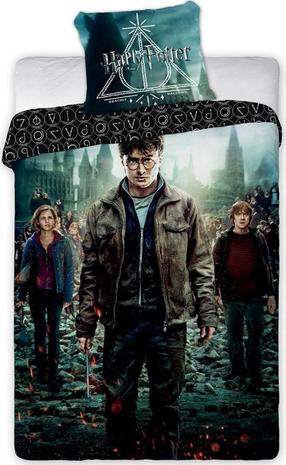 Vaikiškas patalynės užvalkalų komplektas Harry Potter 003, įvairių spalvų, 160 x 200 cm