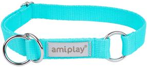 Antkaklis šunims Amiplay Samba, turkio sp., 350 - 500 mm x 25 mm, 35-50