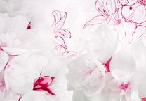 Fototapetas Artgeist Enveloped In White XLNEW010739, 175 cm x 250 cm