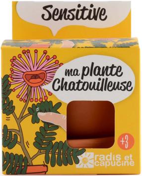 Комплект для выращивания растений Radis Et Capucine Growing Kit Mimosa, коричневый цв./желтый цв.