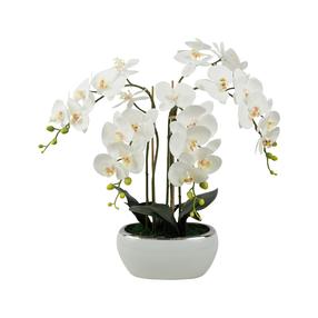 Dirbtinė gėlė vazone, orchidėja, įvairių spalvų/(spalva/dizainas parenkami atsitiktine tvarka), 70 cm
