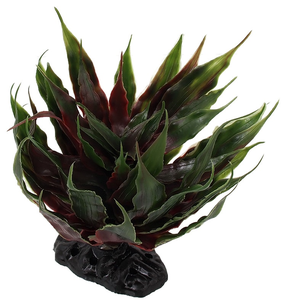 Dekoracija terariumui Repti Planet Sukulent Agave